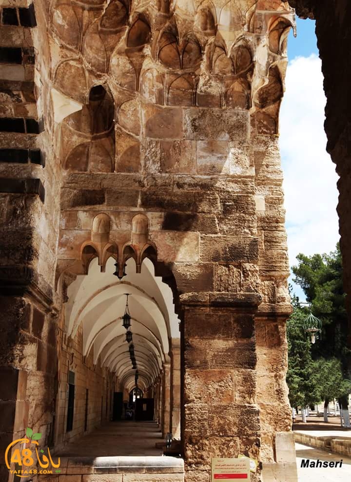 ma3red sowar (3).jpg